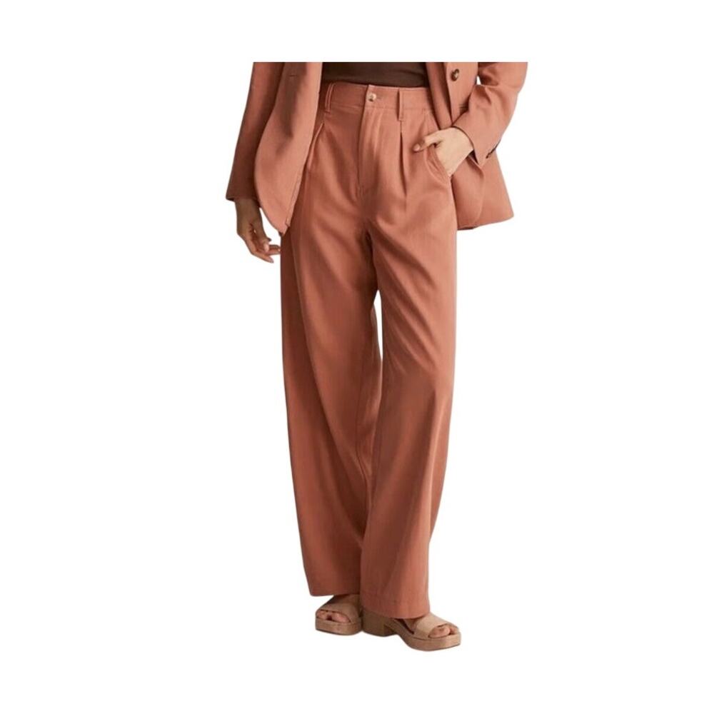 Madewell Rust Wide Leg Pants Size 6 Oversized Earthy Minimalist Chic Street